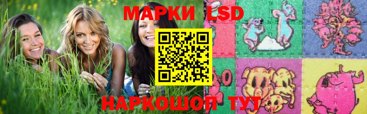 mega зеркало  Вход с VPN  LSD-25 экстази кислота  Донецк  LSD-25 экстази ecstasy 