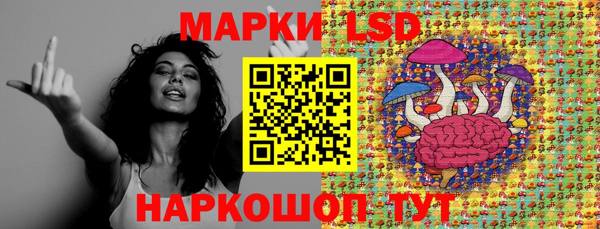Меф   ГАШ  NBOMe  A-PVP СК кристаллы  Донецк  Каннабис  Вход с VPN 