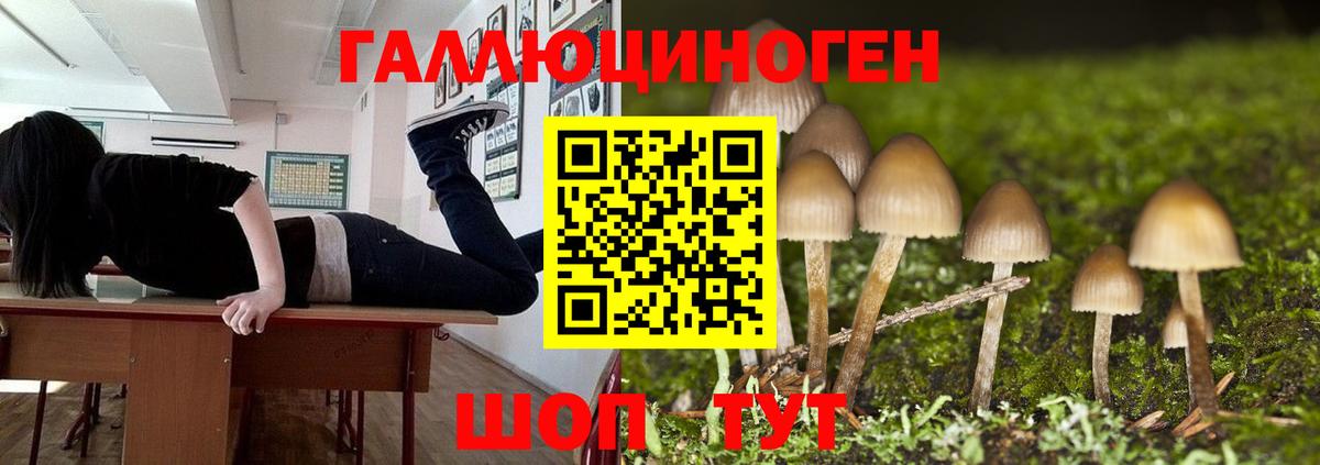 Галлюциногенные грибы мицелий Донецк