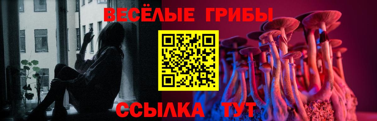 Донецк  купить  цена  Вход с VPN  Псилоцибиновые грибы MAGIC MUSHROOMS  Псилоцибиновые грибы Psilocybine cubensis 